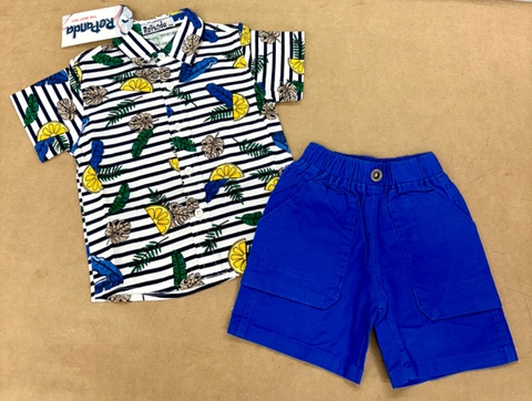 Conjunto camisas tropicales limones y hojas