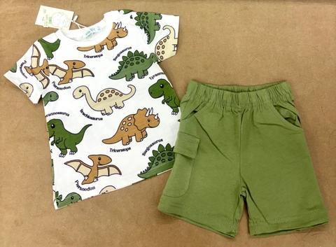 Conjumto sport distintas especies de dinos