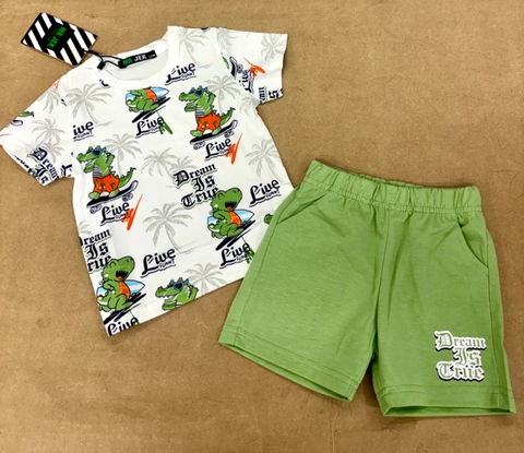 Conjunto sport animales surfistas