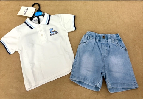 Conjunto tipo polo dinosousr